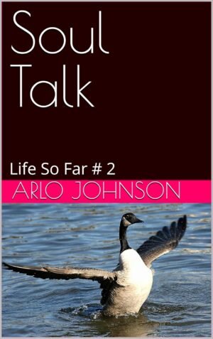 Arlo's Soul Talk: Life So Far # 2 (Arlo's Soul Talk # 2)