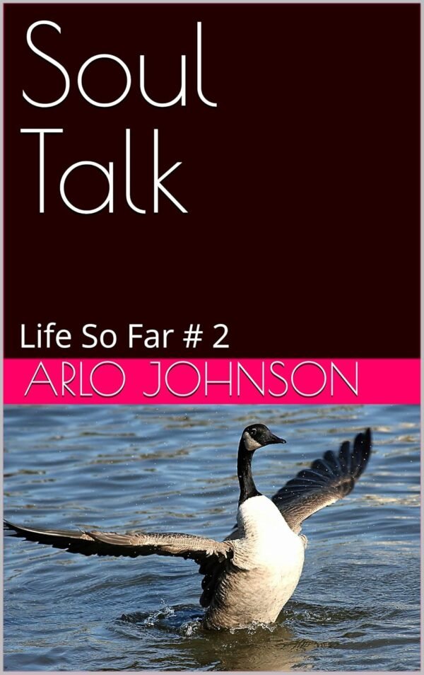 Arlo's Soul Talk: Life So Far # 2 (Arlo's Soul Talk # 2)
