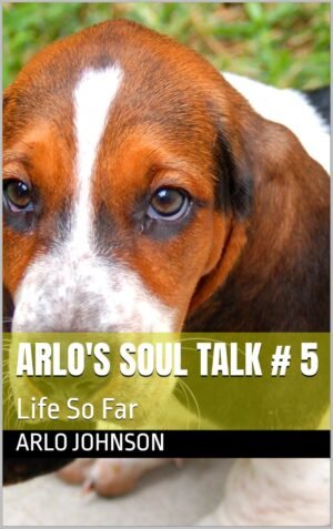 Arlo's Soul Talk # 5: Life So Far